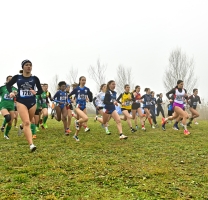 Cross: a Capo di Ponte Via alla Coppa Lombardia