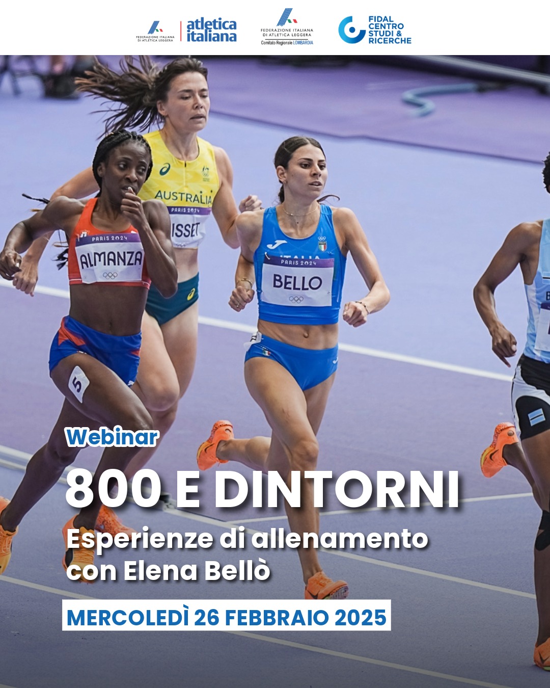 Volantino 800 dintorni